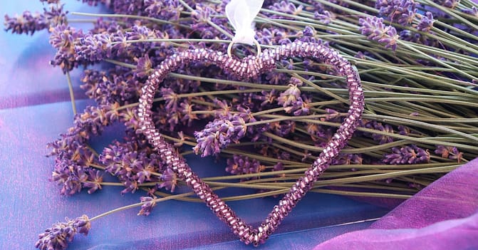 Lavender Sprigs with a lavender hear laid on top